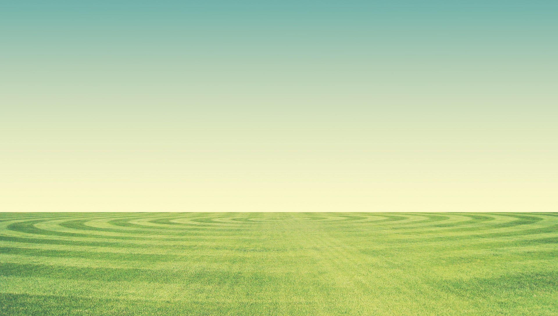 Web plain